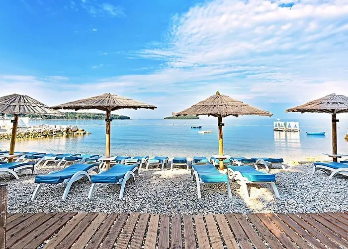 Mediteraneo