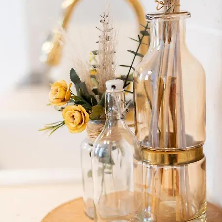 Mediteraneo Apartment Vrsar