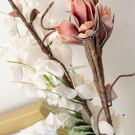 Mediteraneo Apartment